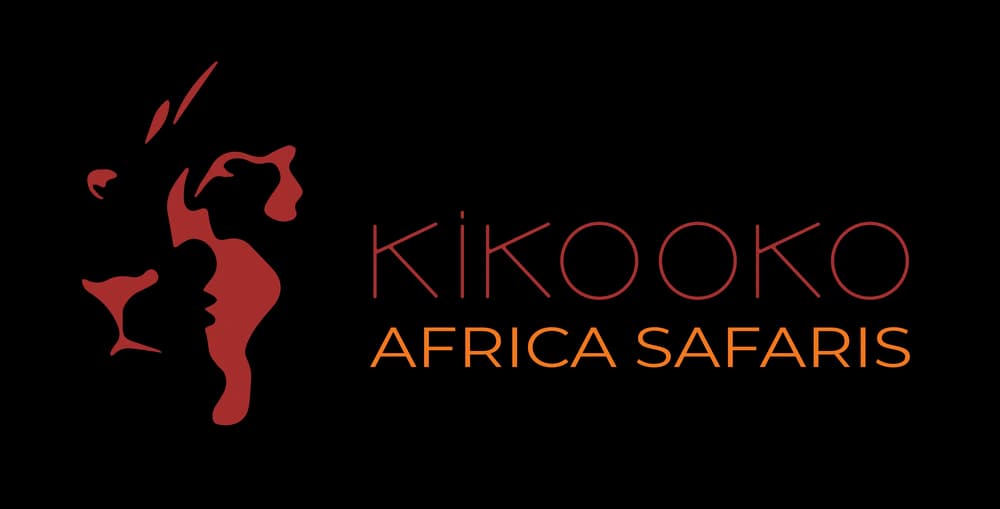 Kikooko Africa Safaris
