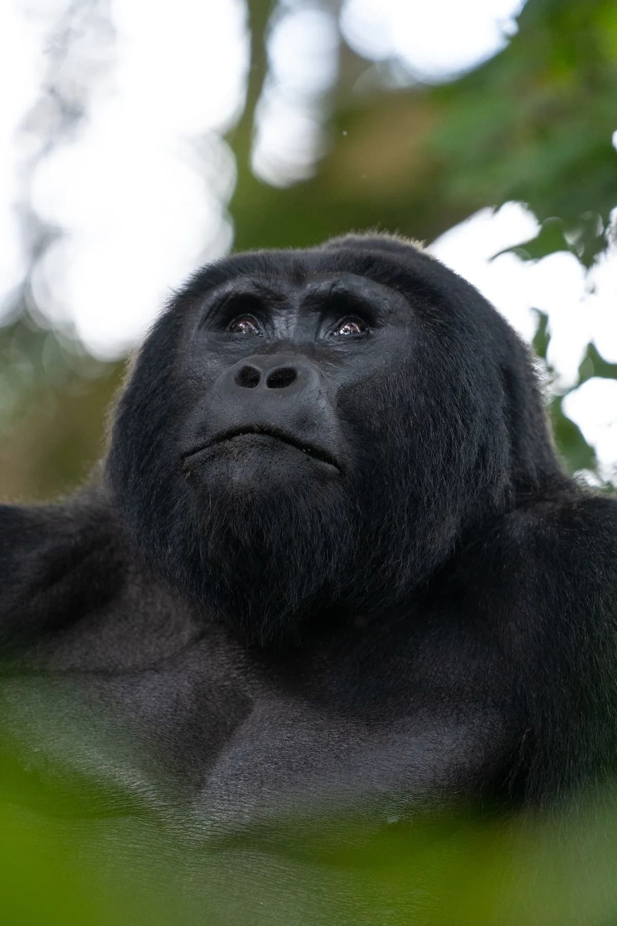 Uganda